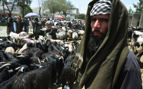 Afghanistan: des ambassades étrangères appellent les talibans à cesser leur offensive