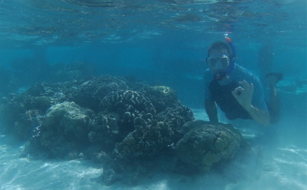 La préservation du lagon de Bora Bora, l'affaire de tous