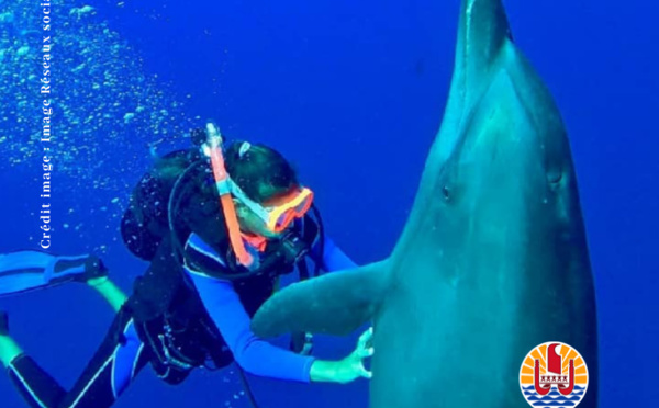​Espèces protégées, on touche avec les yeux