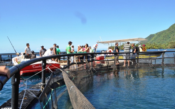 Exploitations aquacoles: Les membres du CESC en déplacement à la Presqu’île