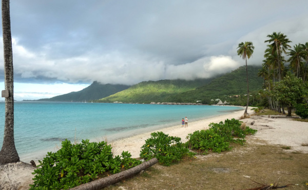 Moorea : une lettre ouverte pour que Tema'e le reste