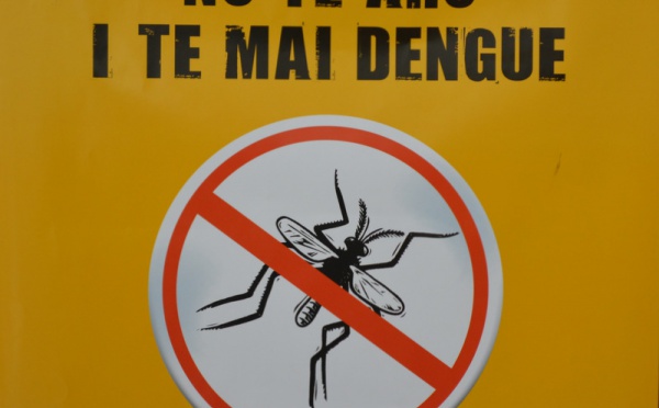 Progression de la dengue en Polynésie : un cas suspect sur deux est confirmé
