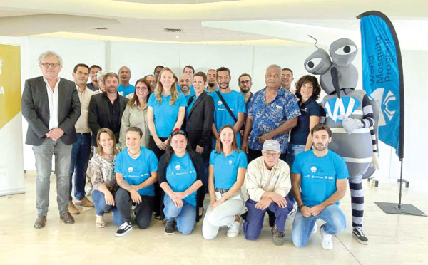 La dengue bientôt éradiquée en Nouvelle-Calédonie ?