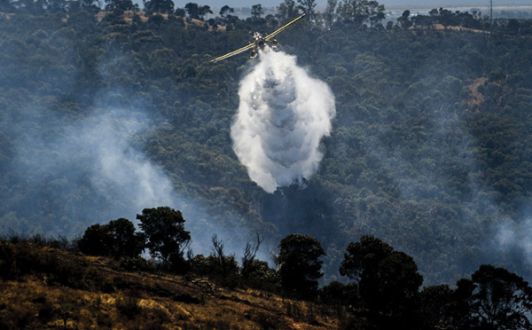 Le Portugal touché à son tour par un important feu de forêt