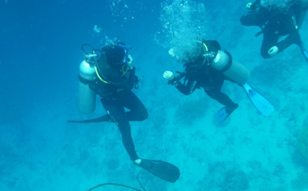 Les clubs de plongée veulent un motif impérieux pour les "activités touristiques"