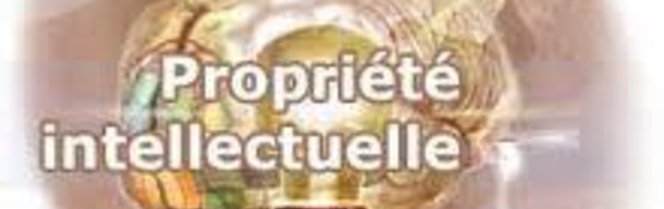 Une formation pour comprendre la propriété intellectuelle (en préalable à la naissance de la Marque Polynésienne )