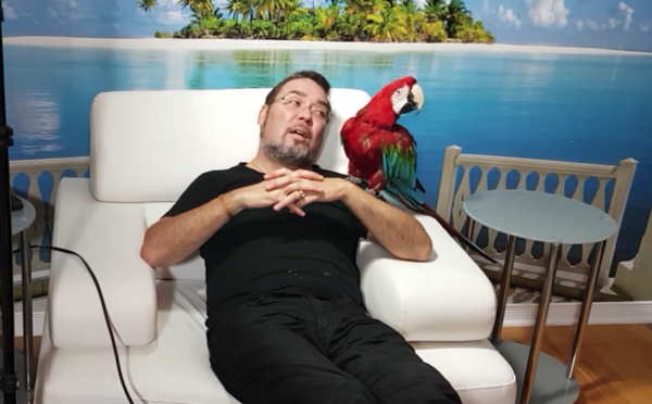 Un perroquet au tribunal administratif