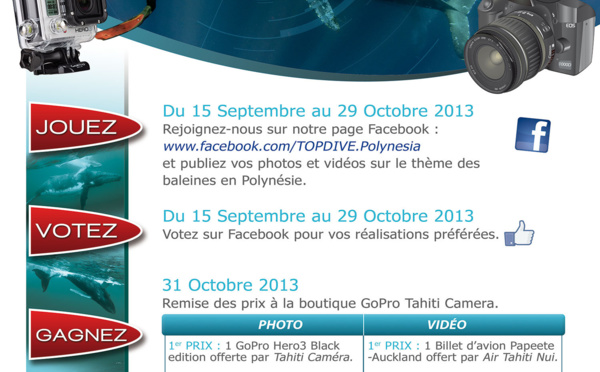 Lancement d’un concours photo/vidéo sur le thème des baleines en Polynésie