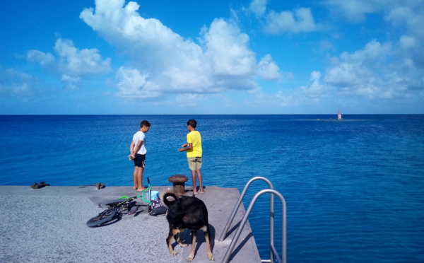 ​Hao confiné le week-end