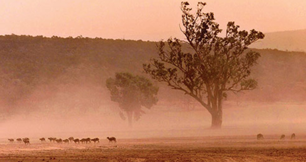Australie: un petit garçon autiste retrouvé après trois jours dans l'Outback