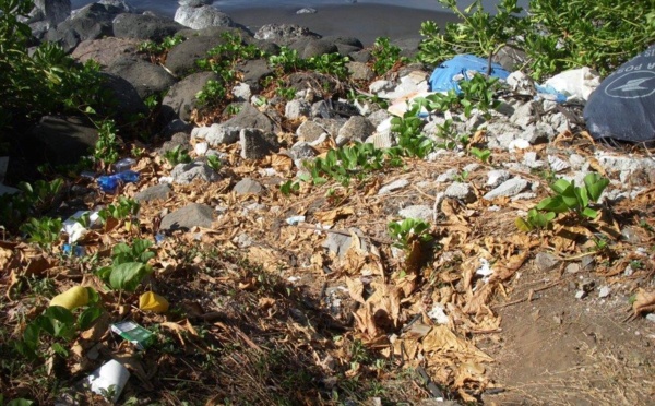 « Te U’i Paruru Fenua » une association d'étudiants qui agit pour l'environnement