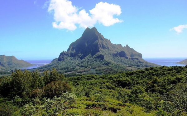 Immobilier à Moorea : la Fape frappe à toutes les portes