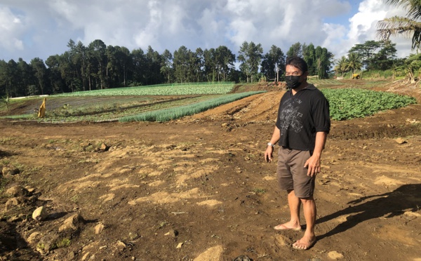 Trois pilleurs de fa'a'apu interpellés