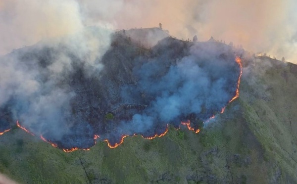 ​Incendie à Nuku Hiva : 400 hectares de forêt ravagés par les flammes