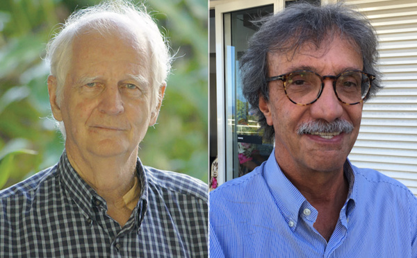 Géopolitique du Pacifique : "La France a encore des cartes à jouer"