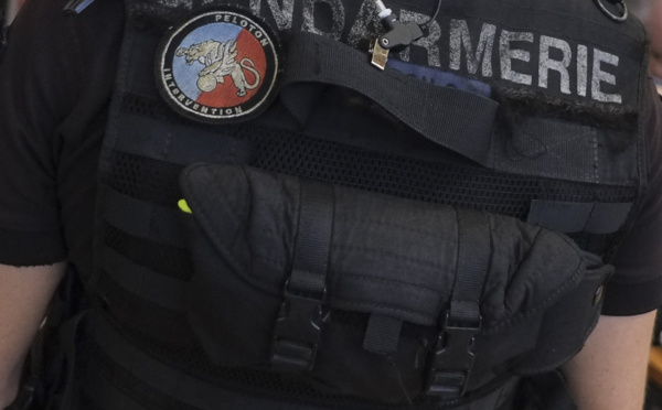 Prison ferme et du sursis pour le couple rebelle