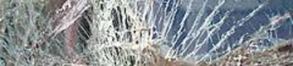 Par jalousie, elle massacre sa (propre) voiture