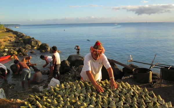 Ouverture pêche au troca : C’est parti pour 30 jours de ramassage