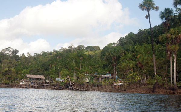 Guyane: une adolescente tuée dans l'effondrement d'un abri en bois et tôle
