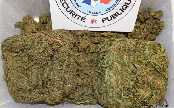 Grosse saisie de cannabis lors d’un contrôle à Papeete