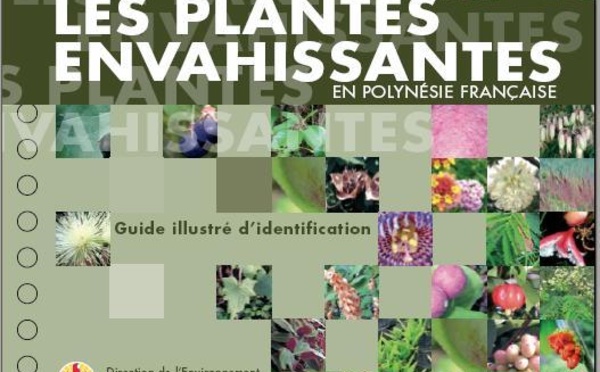 Veille et intervention contre les espèces envahissantes : Ateliers de travail du 28 au 30 octobre