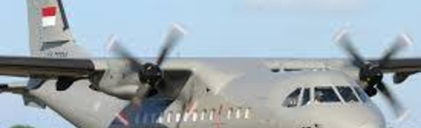 Entretiens entre armées française et papoue