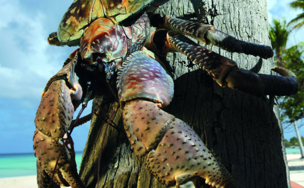 Pêche et kaveu encadrés, burgaux libérés