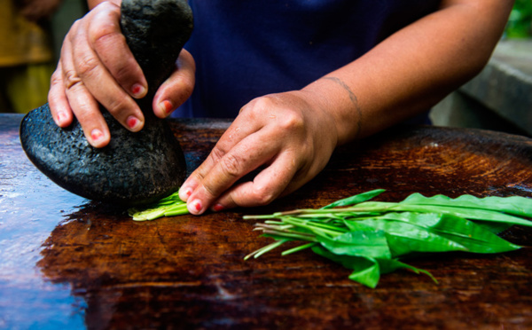 Un dialogue pour la réglementation de l'usage des plantes