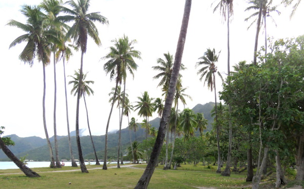 ​Une couronne pour protéger le joyau Moorea