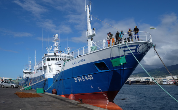 Transport de requin : Des règles en eaux troubles