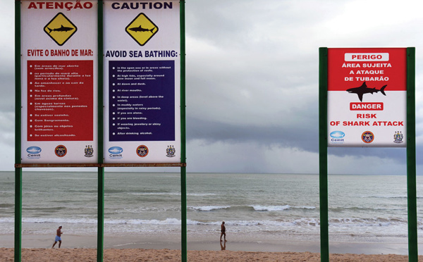 Un touriste français mordu par un requin au Brésil