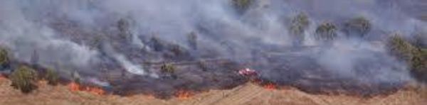 Nouvelle-Calédonie: plus de 2.000 hectares de savane brûlés en deux mois