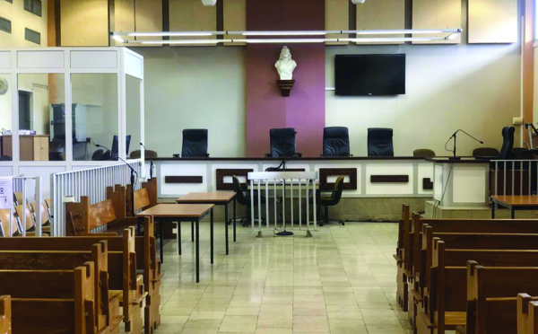 Un prédateur sexuel reprend sept ans de prison