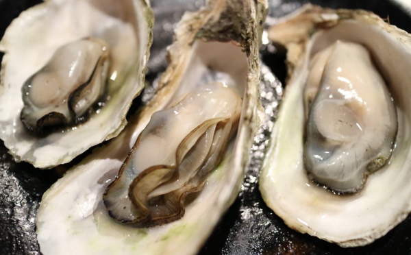 Charente-Maritime: trois tonnes d'huîtres volées sur l'île de Ré