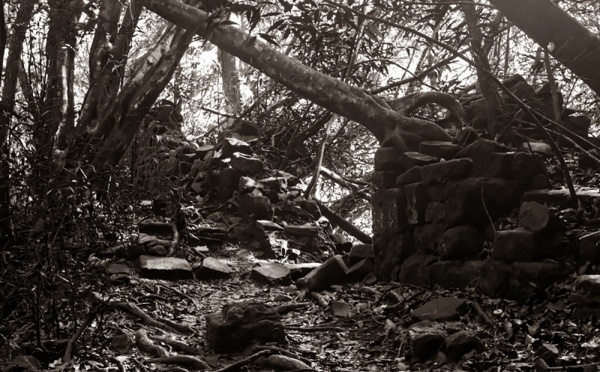 Fautaua : le cadavre est celui d’un jeune Japonais