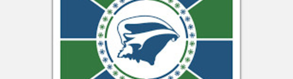 Martinique: le drapeau "ipséité" annulé par le tribunal administratif