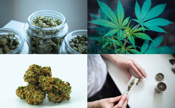 L’enquête qui légitime le paka