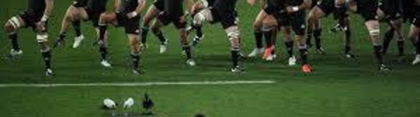 Tournée - France - Nouvelle-Zélande: l'étalon de l'excellence