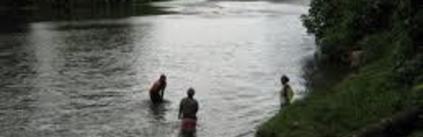 Nouvelle attaque de crocodile aux iles Salomon