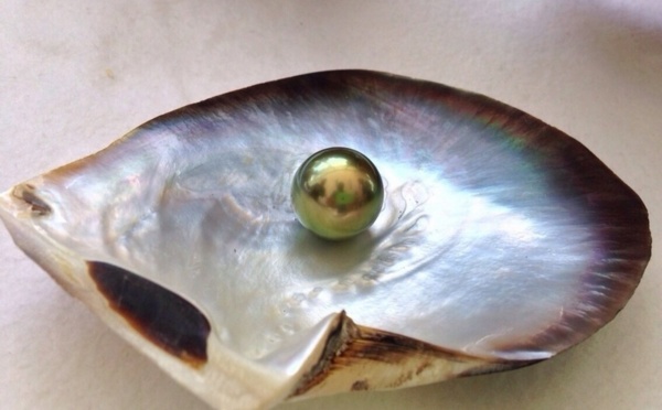 8ème Vente du G.I.E  Poe O Rikitea : une plus-value de 13.30 %