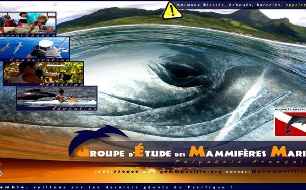 Une association polynésienne lauréate du dispositif de soutien de la Fondation Nicolas Hulot