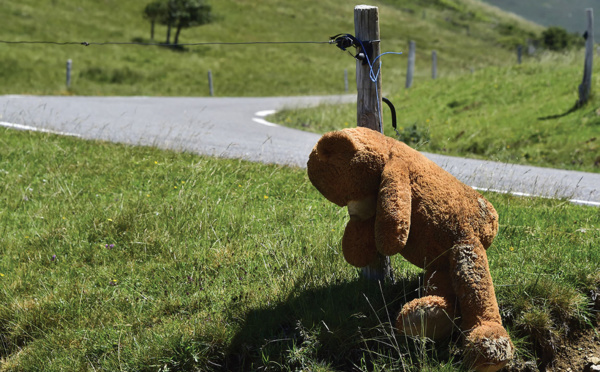 Un chasseur blessé tue une ourse: un accident qui questionne la cohabititon