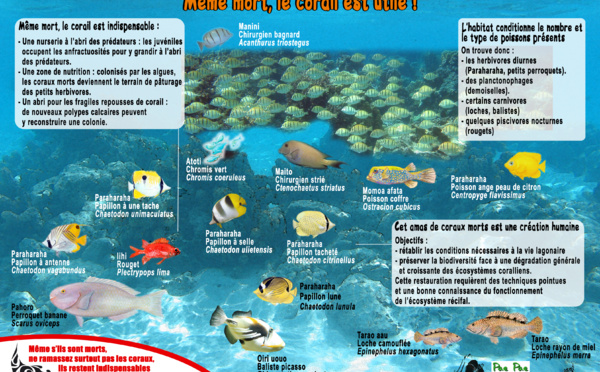 Tout savoir sur les semaines de la science