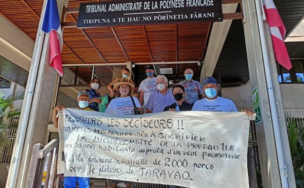 ​Le projet de porcherie à Taiarapu-Est passé à la moulinette