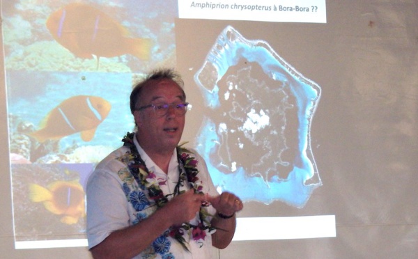 La vraie vie de Nemo par un vrai expert