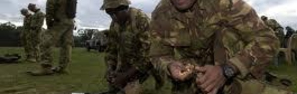 La Papouasie-Nouvelle-Guinée évoque un service militaire obligatoire
