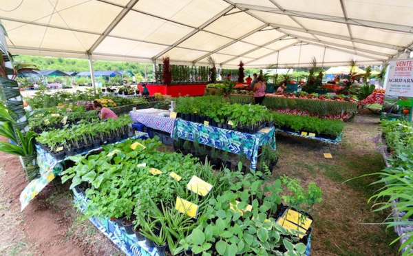 ​La "mini" foire agricole jusqu'au 5 décembre