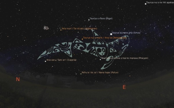 Navigation ancestrale : les polynésiens avaient déjà la science