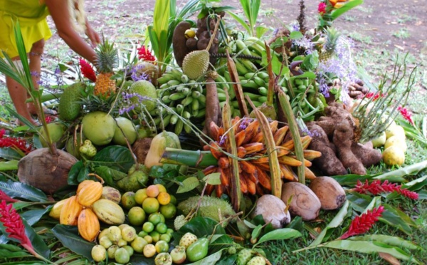 Levée des pléiades : le temps de l’abondance