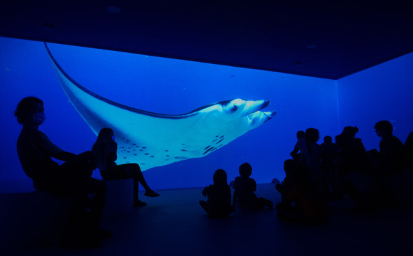 Le Fare Natura de Moorea a reçu son 10 000e visiteur